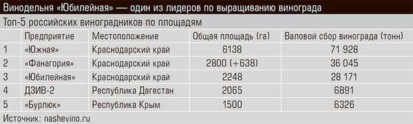 Винодельня «Юбилейная» — один из лидеров по выращиванию винограда 20-04.jpg