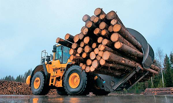 62-03.jpg ПРЕДОСТАВЛЕНО ПРЕСС-СЛУЖБОЙ ГУБЕРНАТОРА АРХАНГЕЛЬСКОЙ ОБЛАСТИ