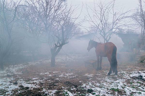 «Гогита. Новая жизнь» — второй полнометражный документальный фильм Левана Когуашвили 58-03.jpg КИНОКОМПАНИЯ «МОСКВИЧ»