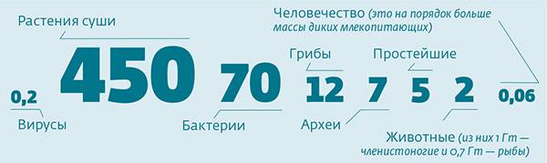 051_rusrep_11-3.jpg