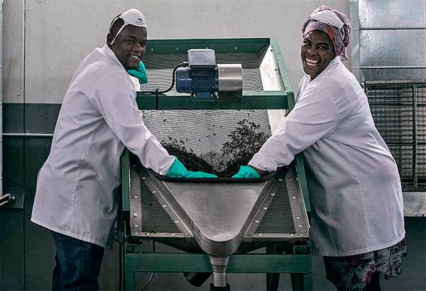Мировой лидер в производстве протеинов из личинок мух AgriProtein (ЮАР) готов поставить свое оборудование использующему ручной труд российскому стартапу «НордТехСад» в обмен на его уникальную технологию выработки большего количества продукта при минимальных затратах 20-03.jpg