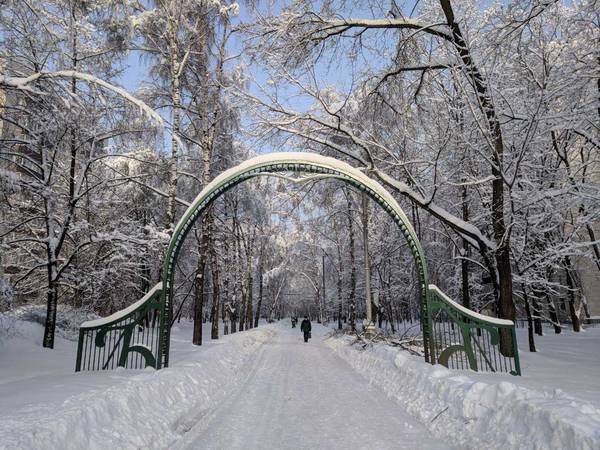 Зимняя сказка на Березовой аллее 003.jpg