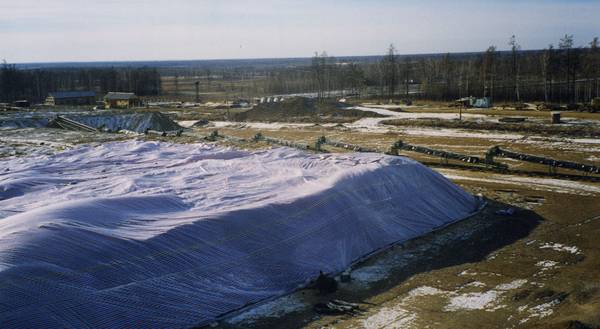 pokr010.jpg