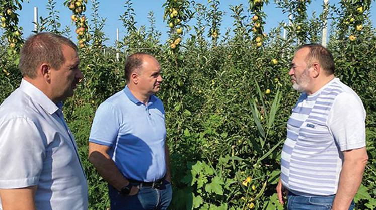 На Ставрополье в новый сад и хранилище вложат почти 800 млн рублей 