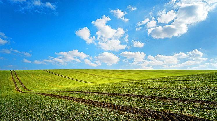 Летающий русский мозг начнет созерцать поля