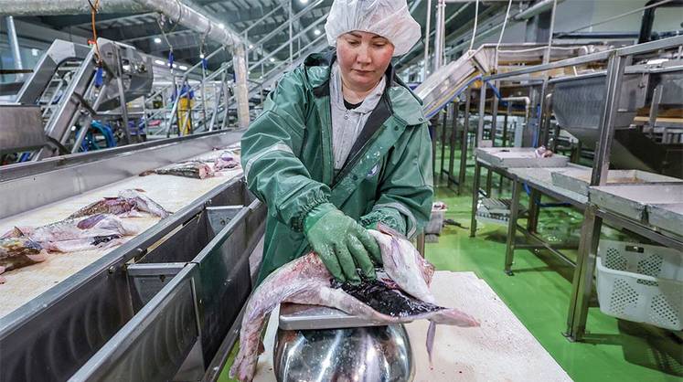 За консервами выстроилась очередь