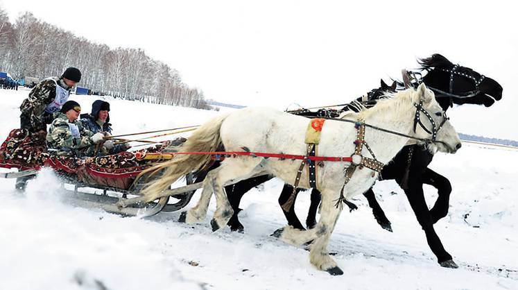 Фото недели