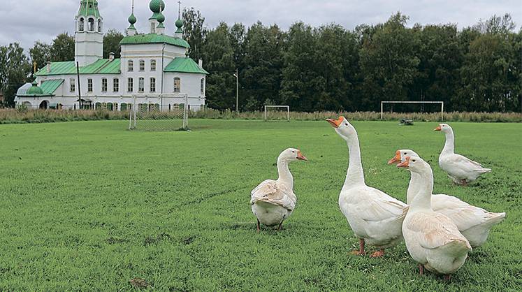 Финляндия: город без отходов Финляндия: город без отходов