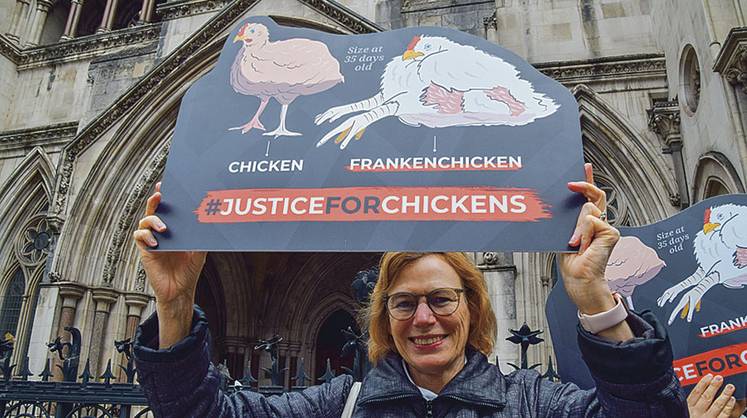 Frankenchicken: вне закона Frankenchicken: вне закона