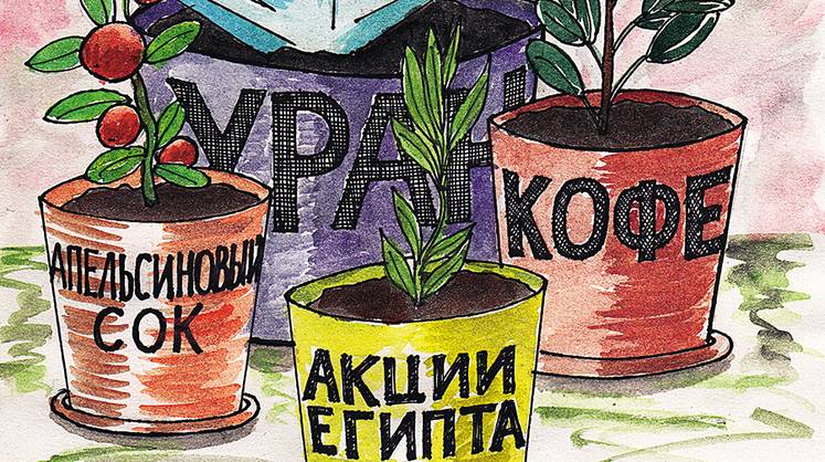 Точки роста