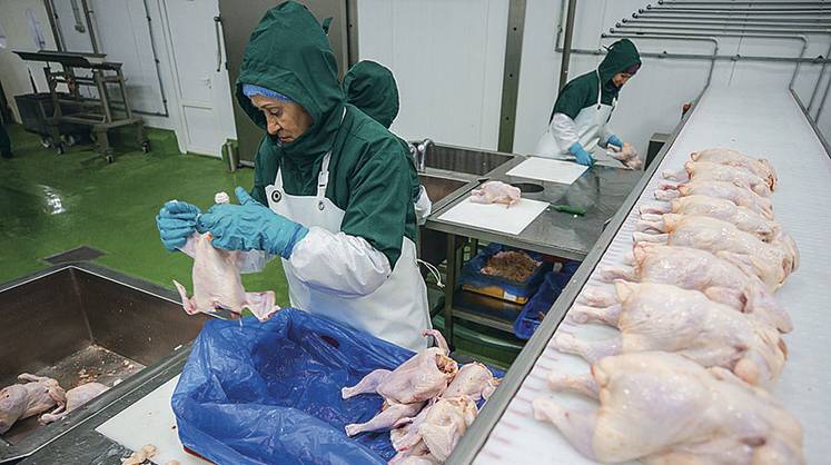 Мясокомбинатам не хватает курятины
