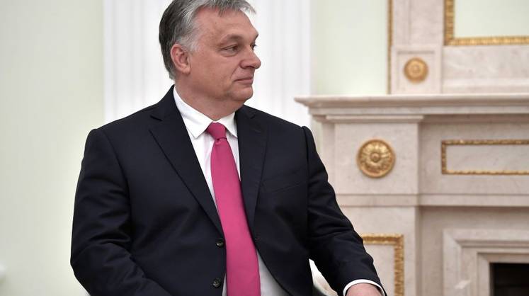 «Белая ворона в стае НАТО» назвал Украину вторым Афганистаном и ничейной страной