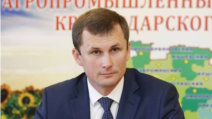 Кубань оказалась единственным «органическим» регионом Юга