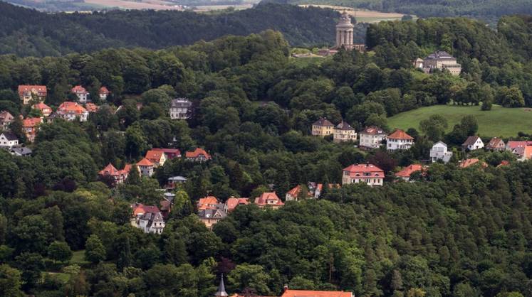 Германия сжигает беспрецедентный объем древесины