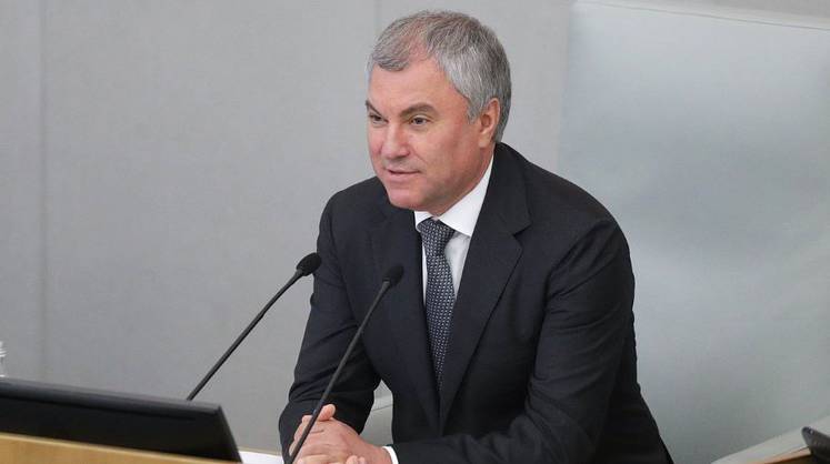 От Володина потребовали повышения пенсий и снижения цен