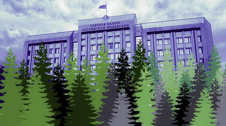 С лесным хозяйством произошло то, чего надо было избежать