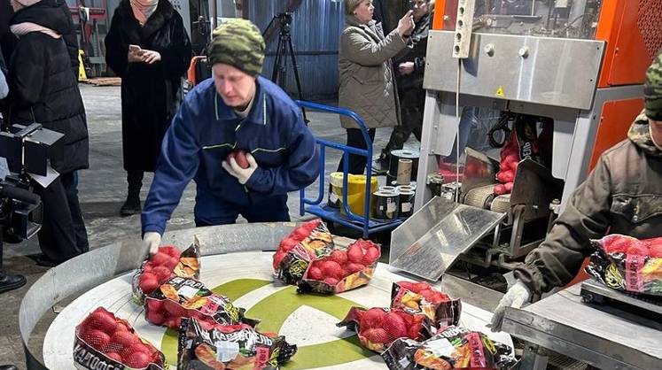 «Пятёрочка» выбрала наилучший способ сбыта фермерской продукции