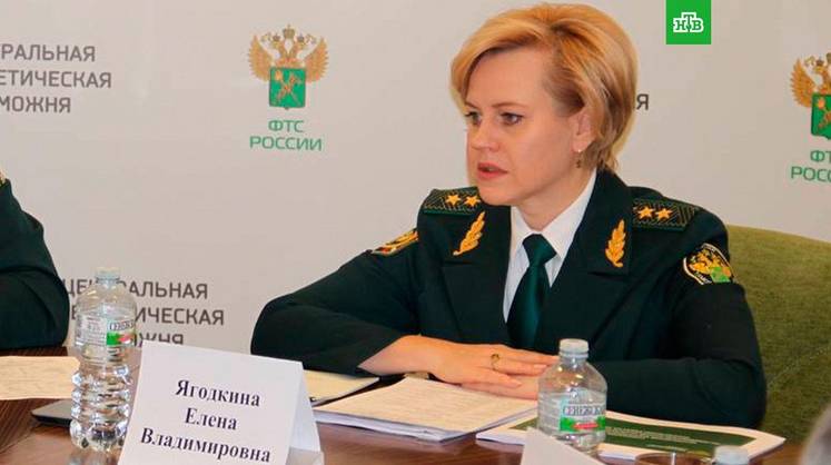 Стали известны новые подробности обвинений в отношении замглавы ФТС Елены Ягодкиной